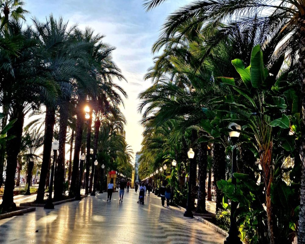 Alicante 1
