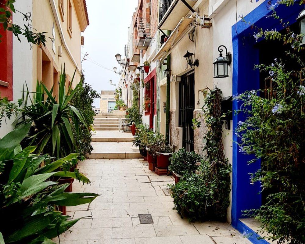 Alicante 11