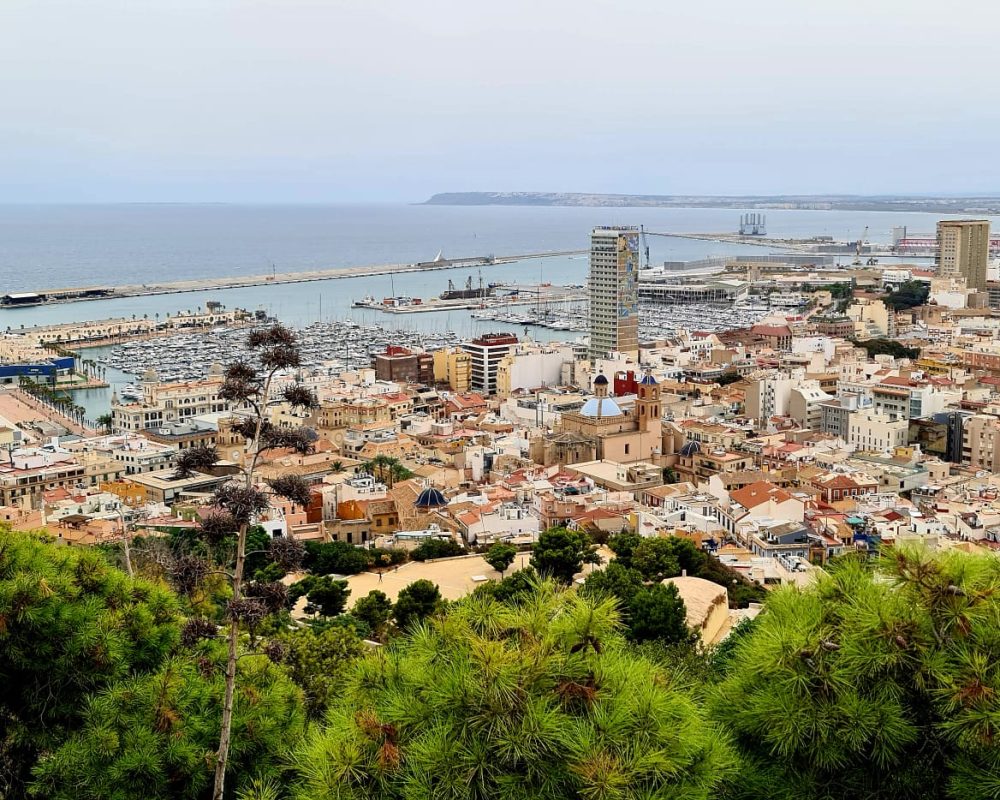 Alicante 12