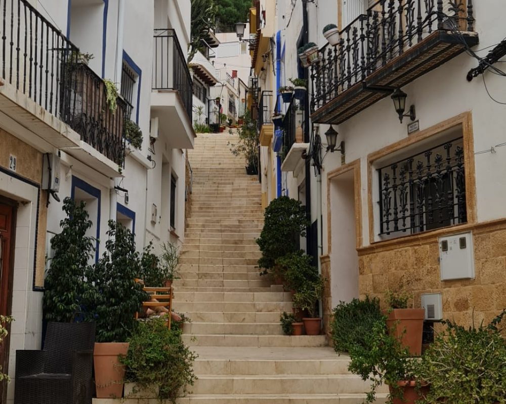 Alicante 13