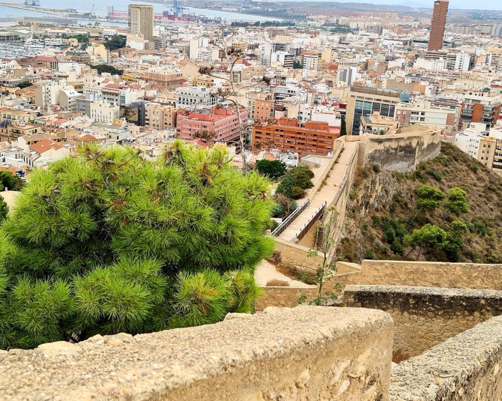 Alicante 14