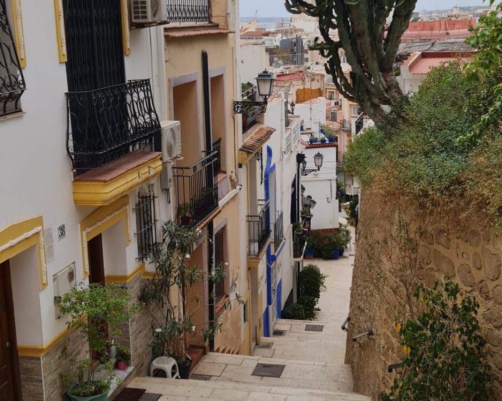 Alicante 15