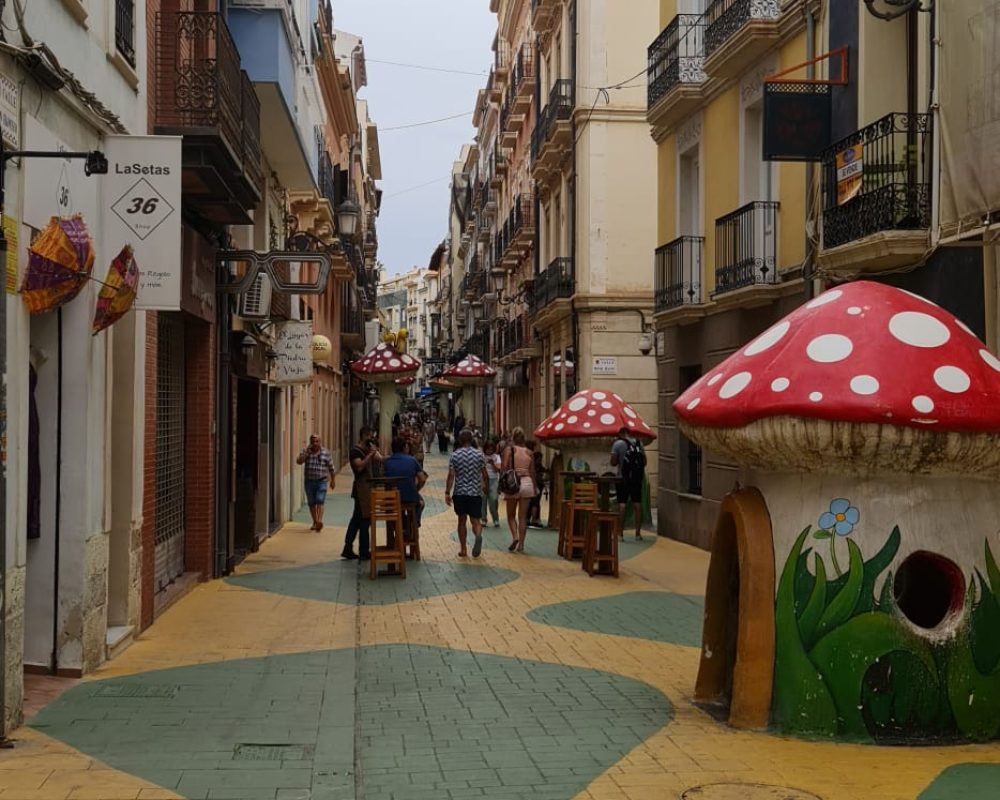 Alicante 16
