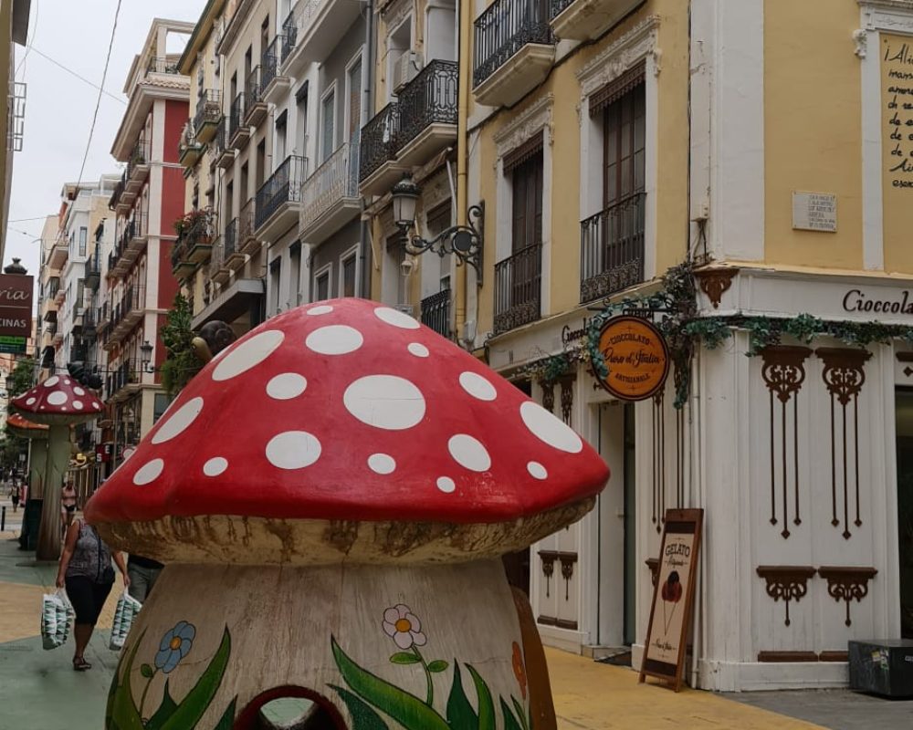 Alicante 17