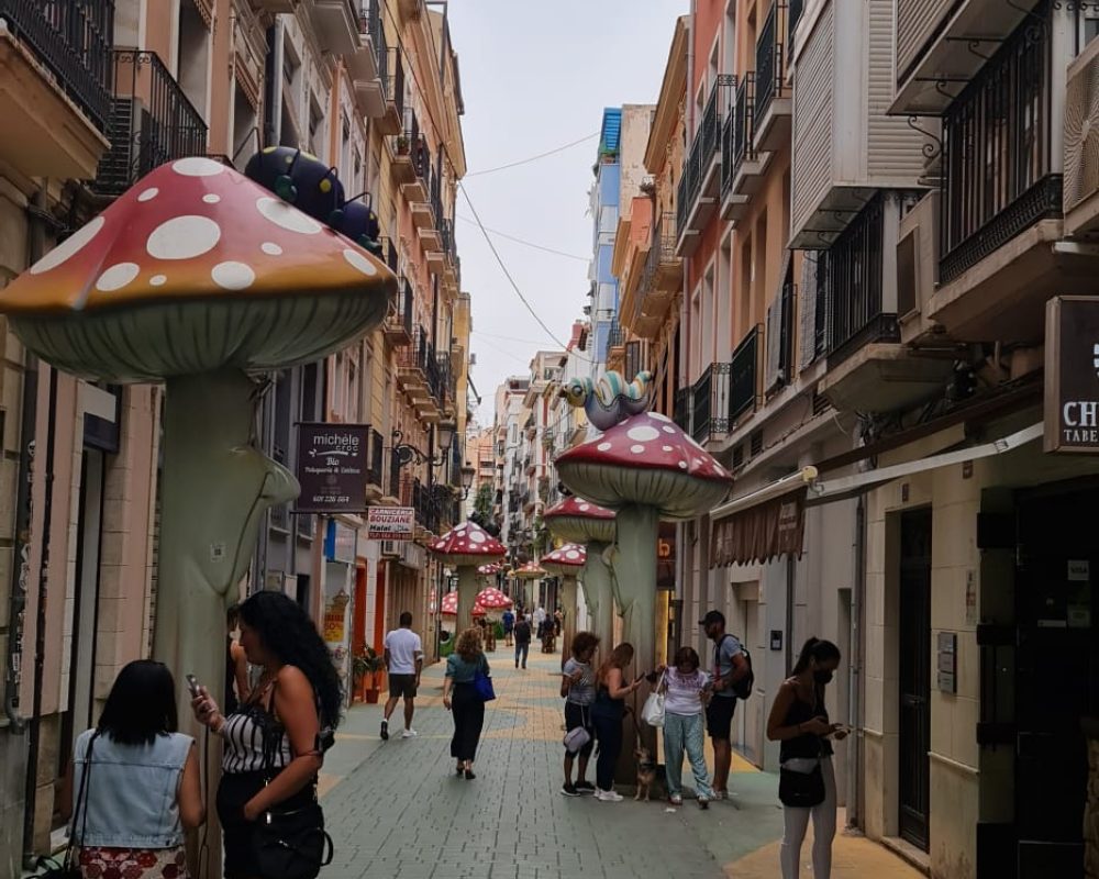 Alicante 18