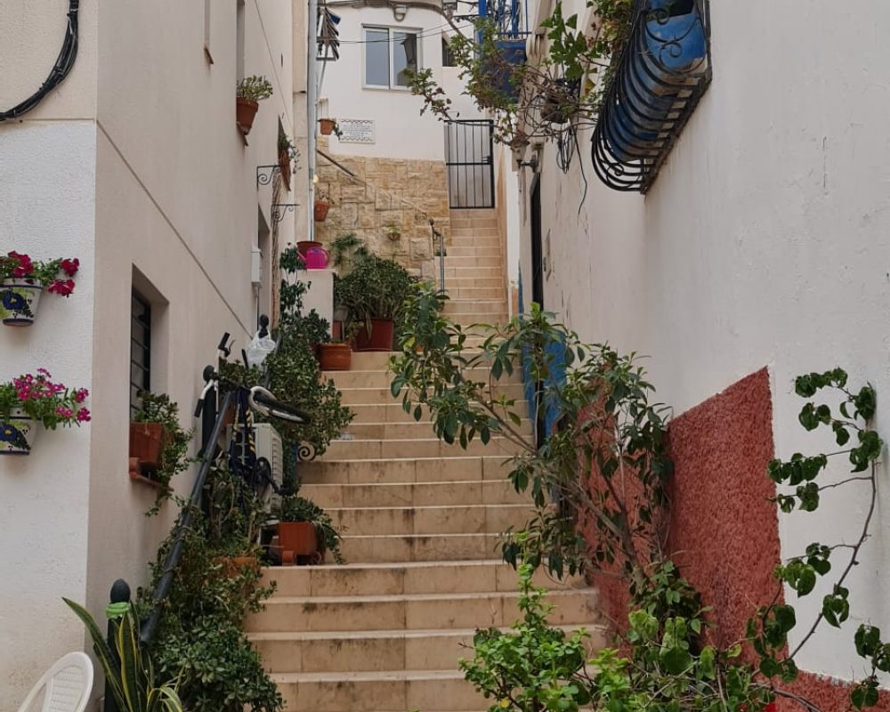 Alicante 22