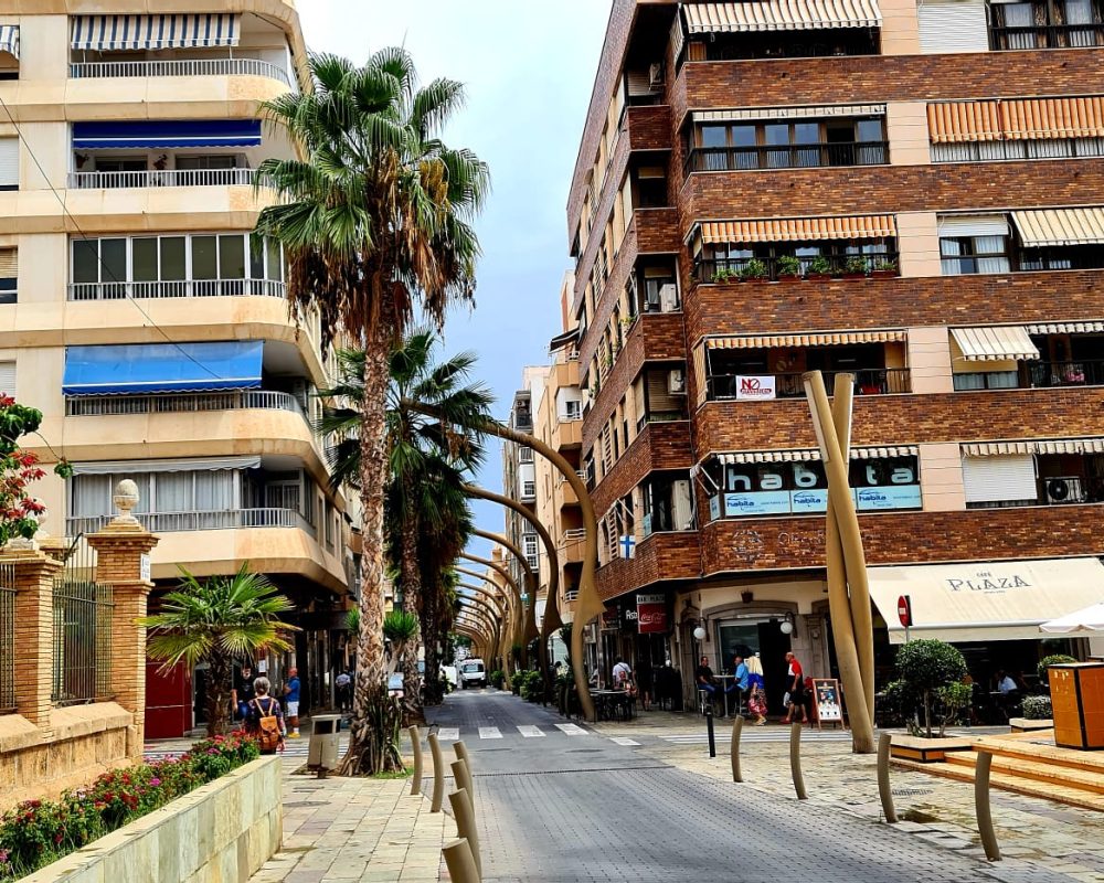 Alicante 24