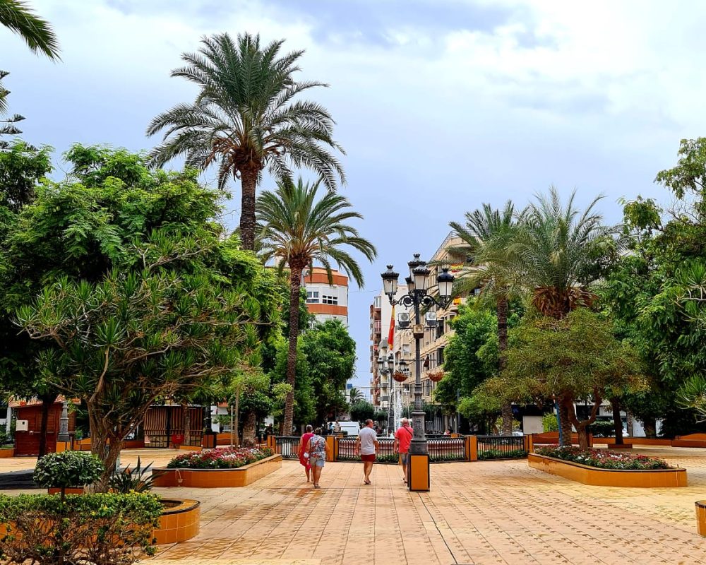 Alicante 25