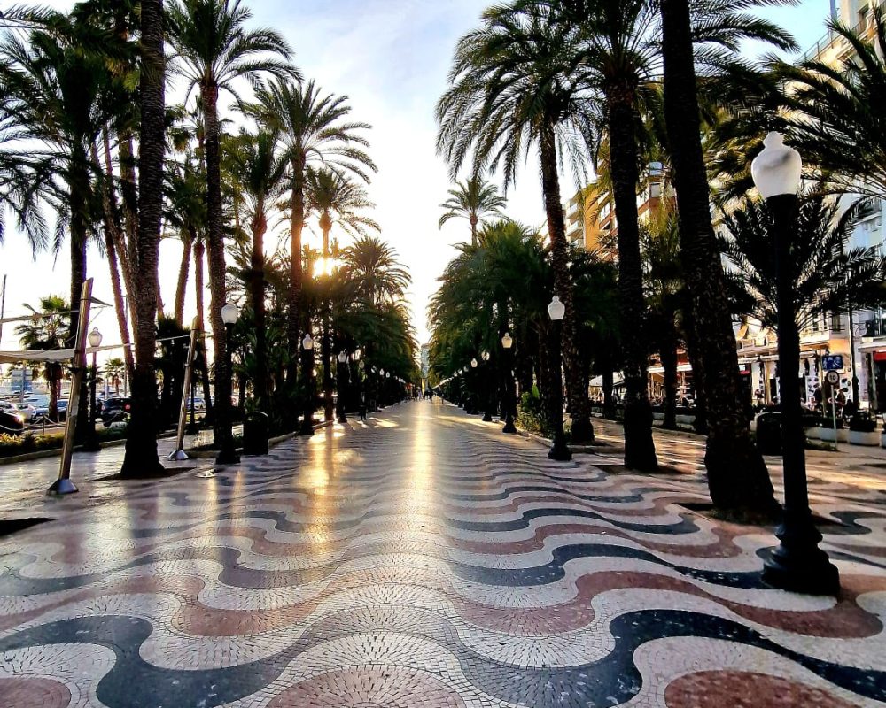 Alicante 4