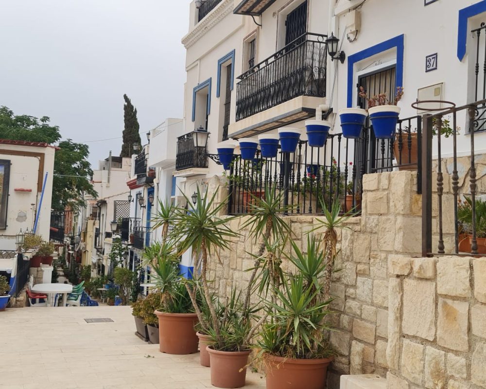 Alicante 9