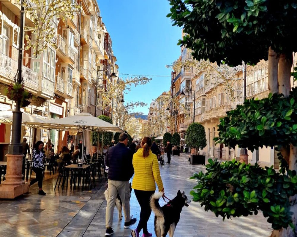 Cartagena 2