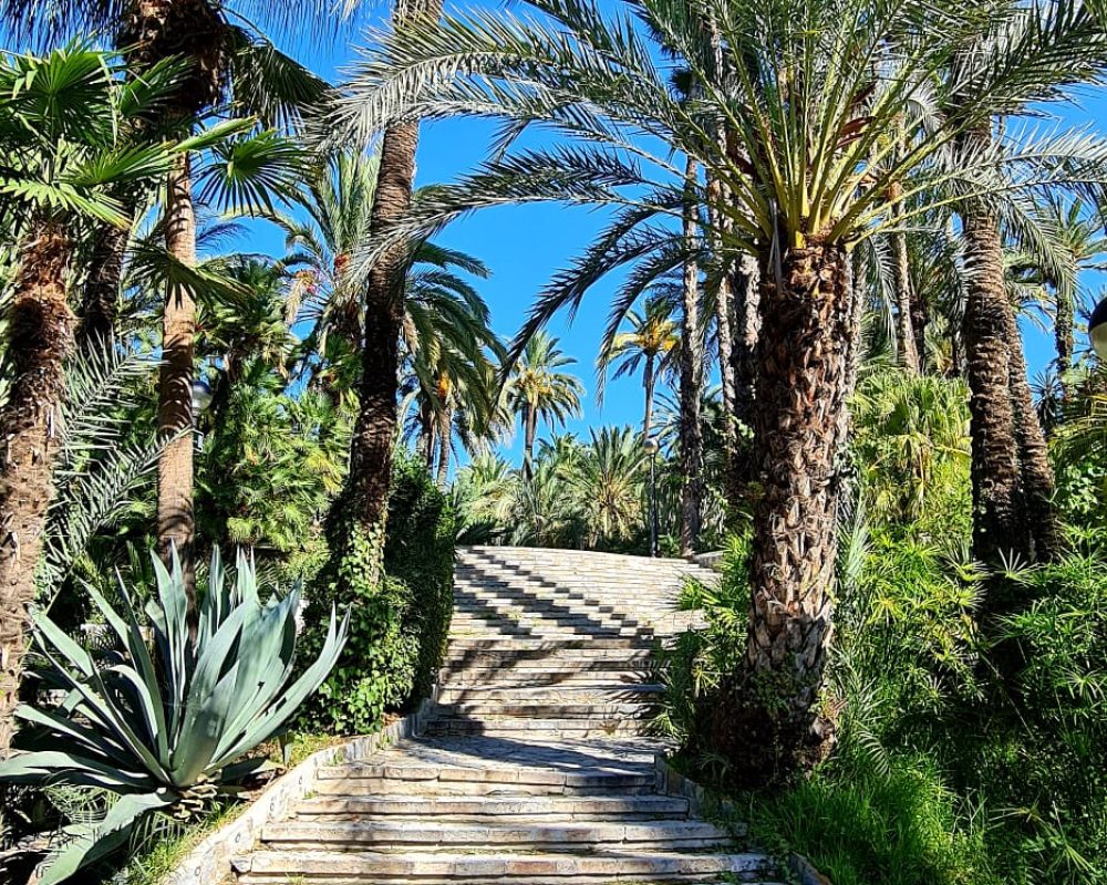 Dunas de Guadamar 1