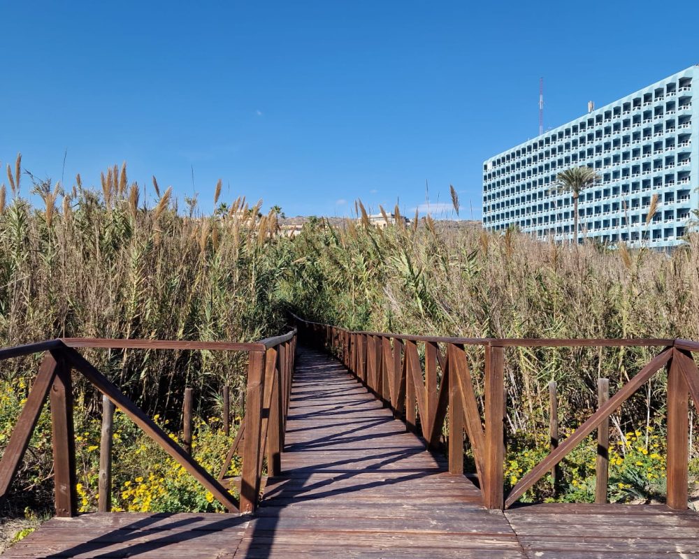 Platja El Moncayo 1
