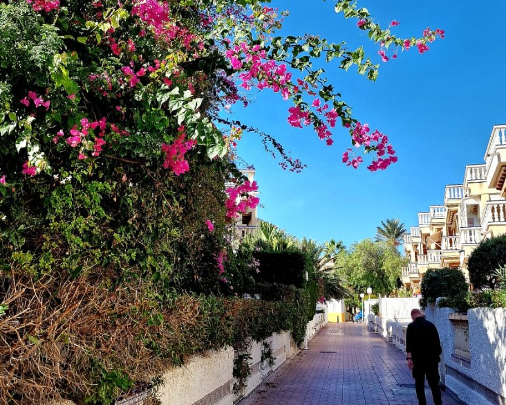 Street in Orihuela-Costa