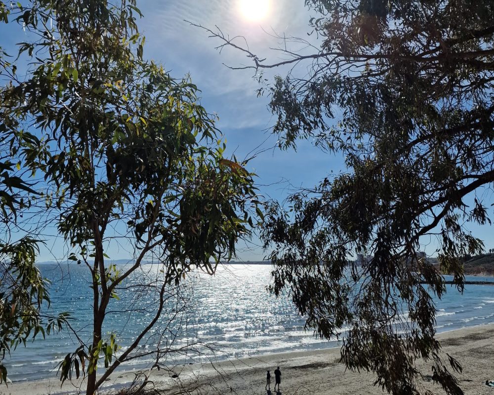 Walking route along the sea 22